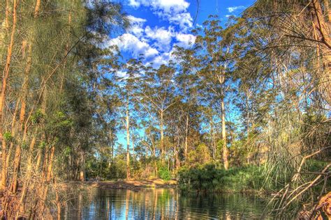 cherrybrook weather|Cherrybrook, New South Wales, Australia Hourly Weather